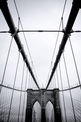 NY22