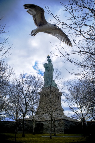 NY24